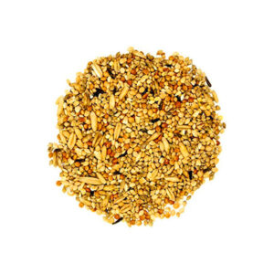 Birds Food tryambakamindia